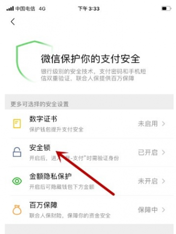 微信APP打开微信支付安全锁的方法